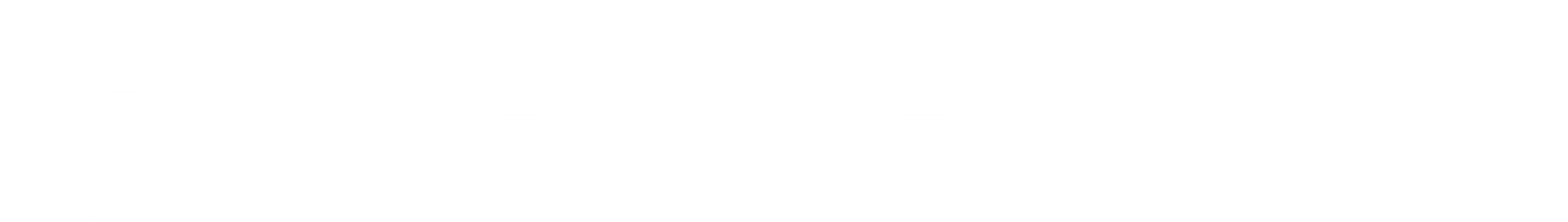 The Bauer Group